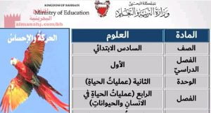 عرض بوربوينت لدرس الحركة والإحساس