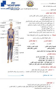 تلخيص الجهاز الهيكلي, (علوم) الثاني عشر العام