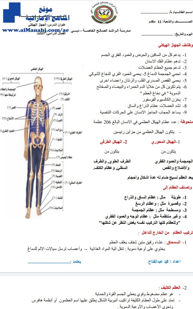 تلخيص الجهاز الهيكلي, (علوم) الثاني عشر العام