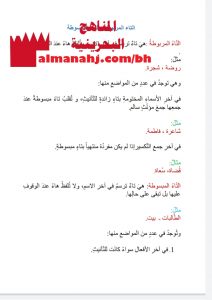 قاعدة التاء المربوطة والتاء المبسوطة مع الأمثلة