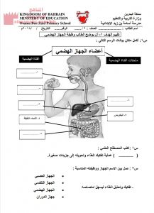 نشاطات من 17 إلى 21 (علوم) السادس