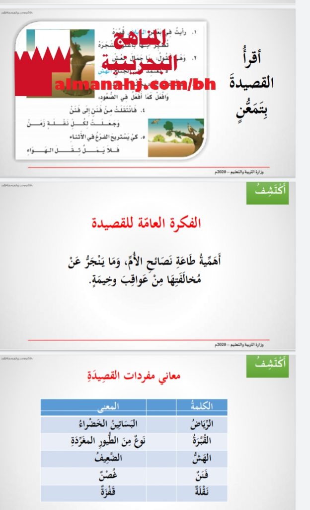 درس القبرة وابنها 1