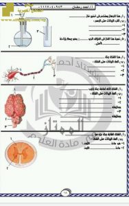 مراجعة علوم نهائية للفصل الأول ملف مكون من 17 صفحة