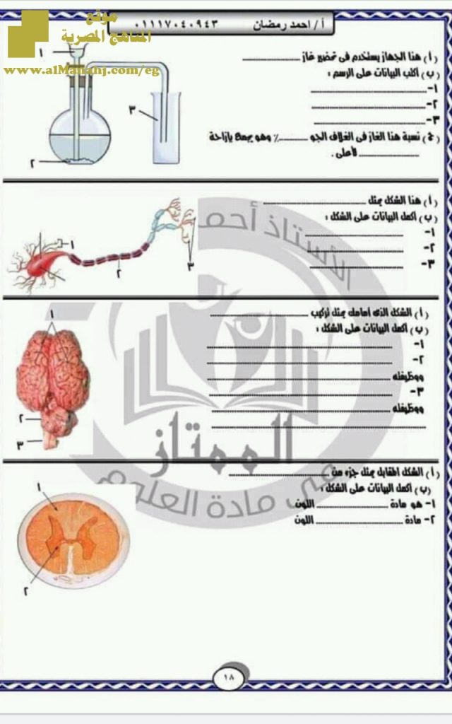 مراجعة علوم نهائية للفصل الأول ملف مكون من 17 صفحة
