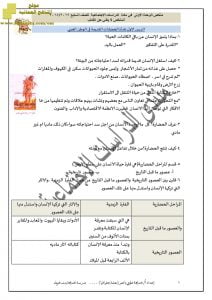 ملخص الوحدة الأولى الحضارات القديمة في عمان وشبه الجزيرة العربية (اجتماعيات) السابع