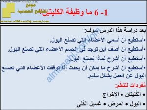 ملخص شرح درس ما وظيفة الكليتين مع حل الأنشطة (علوم) السادس
