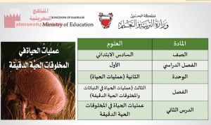 شرح درس عمليات الحياة في المخلوقات الحية الدقيقة
