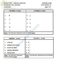نموذج الإجابة للاختبار تشخيصي وأسئلة اختبارية (لغة انجليزية) الثالث