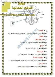 ملخص شامل مع رسوم توضيحية (علوم وبيئة) الثاني عشر