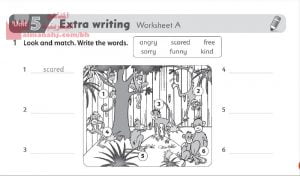 نشاط اللغة الانجليزية 6 (لغة انجليزية) الرابع