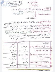ملخص شرح الطاقة مع تمارين تدريبية, منهج انجليزي (فيزياء) الثاني عشر المتقدم