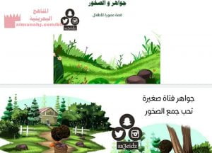 جواهر والصخور