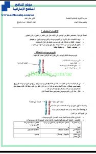 مندل والانقسام المنصف, (علوم) الثاني عشر العام