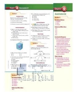 مراجعة الفصل التاسع CHAPTER 9 ASSESSMENT CELLULLAR GROWTH, منهج انجليزي (علوم) التاسع المتقدم