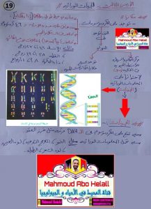 ملخص شرح درس الجينات الوراثية مع صور توضيحية (علوم وبيئة) الثاني عشر