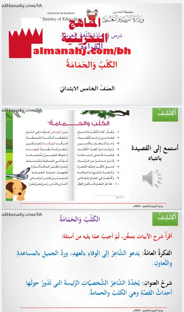 درس الكلب والحمامة