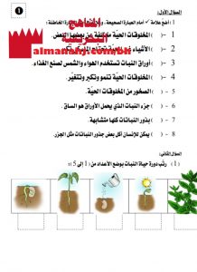 نشاط تقويمي في الوحدة الأولى النباتات من حولنا (علوم) الأول