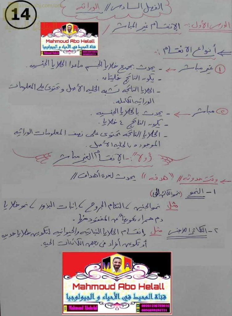 ملخص شرح درس الانقسام الغير مباشر (فصل الوراثة) (علوم وبيئة) الثاني عشر