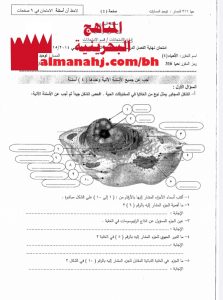 ملف تجميع أسئلة وأجوبة امتحانات سابقة (علوم) الثالث الثانوي