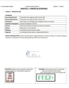 أوراق عمل ومراجعة الوحدة الثانية PARENTS AND OFFSPRINGS مع الحل, منهج انجليزي (علوم) الخامس