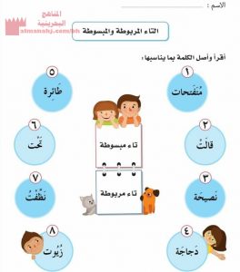 مذكرة شرح وتدريبات وتمارين في التاء المربوطة والمبسوطة (لغة عربية) الثالث