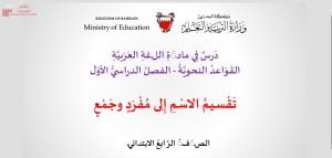 عرض بوربوينت لدرس تقسيم الاسم إلى مفرد وجمع