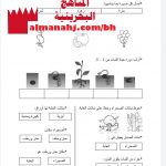 أوراق عمل النباتات تنمو وتتغير