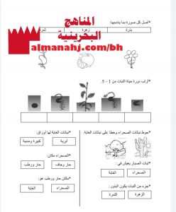 أوراق عمل النباتات تنمو وتتغير