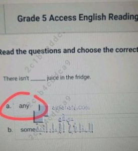 حل أسئلة اختبار لغة انجليزية ACCESS نهاية الفصل الدراسي الثالث, (لغة انجليزية) الخامس