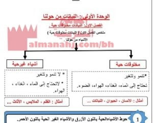 شرح درس النباتات من حولنا