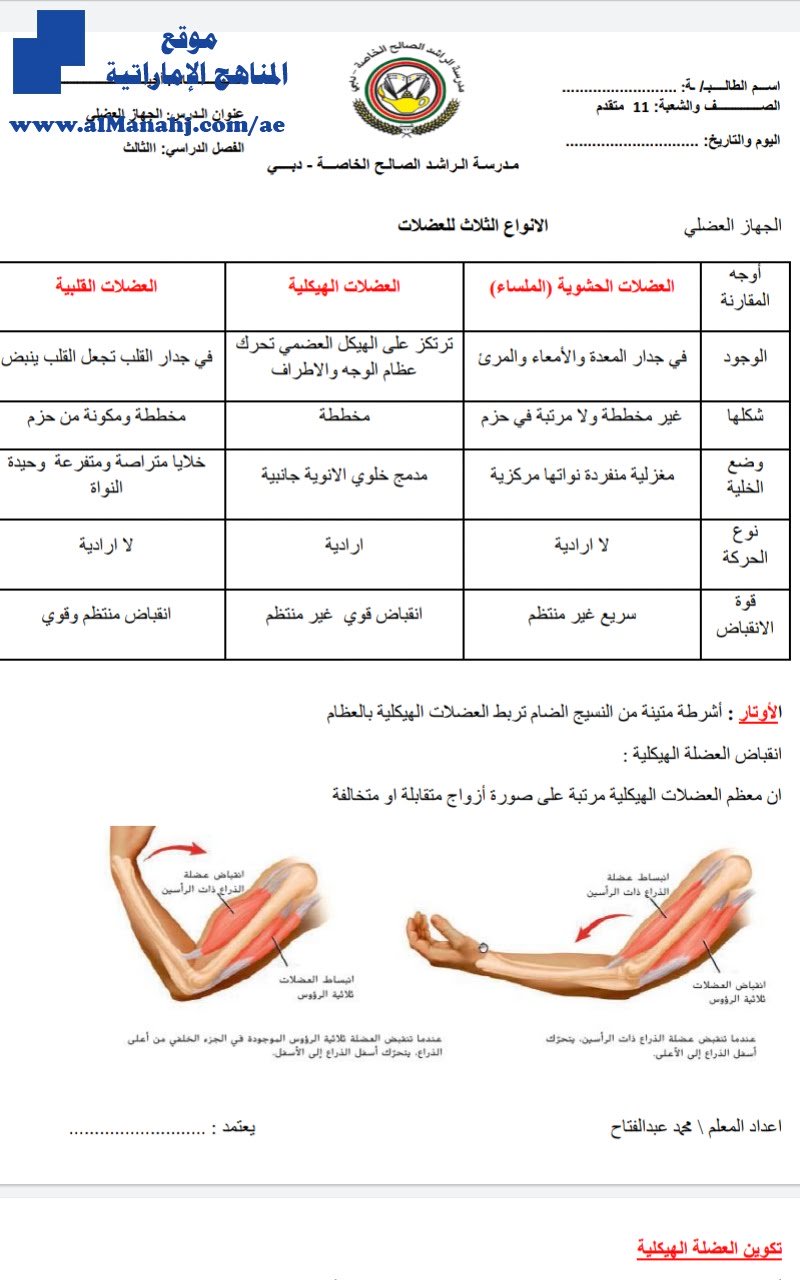 ملخص الجهاز العضلي, (علوم) الثاني عشر العام