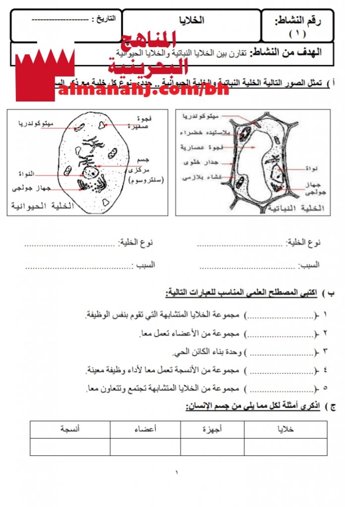 مذكرة أنشطة (علوم) الرابع