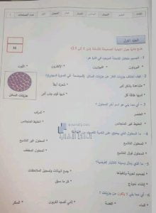 أسئلة امتحان الفصل الأول يتبعه الحل, (علوم) السادس
