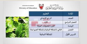 عرض بوربوينت لدرس المملكة النباتية