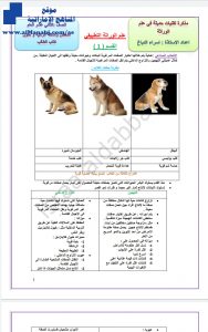 مذكرة تقنيات حديثة في علم الوراثة, (علوم) الثاني عشر العام