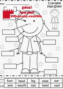 ورقة عمل لتسمية أعضاء الجسم (لغة انجليزية) الثاني