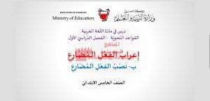 عرض بوربوينت لدرس إعراب الفعل المضارع(نصب الفعل المضارع)