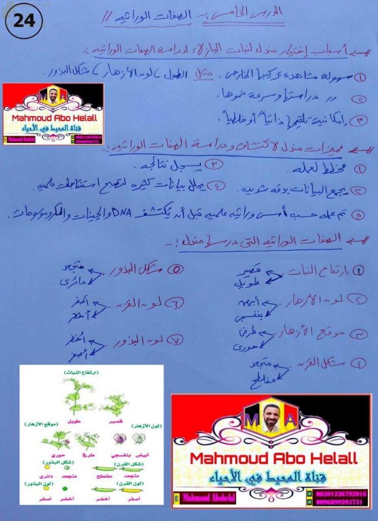 ملخص شرح درس الصفات الوراثية مع صور توضيحية ومخططات (علوم وبيئة) الثاني عشر