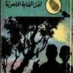 تحميل كتاب لغز الغابة الملعونة – سلسلة المغامرون الخمسة: 18 PDF تأليف محمود سالم مجانا [كامل]