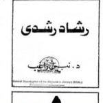 تحميل كتاب رشاد رشدي PDF تأليف نبيل راغب مجانا [كامل]