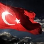 تحميل كتاب تاريخ العلم العثماني PDF تأليف أحمد تيمور باشا مجانا [كامل]