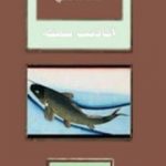 تحميل كتاب أكاذيب سمكة PDF تأليف أحلام مستغانمي مجانا [كامل]