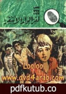 تحميل كتاب لغز الولد الأشقر – سلسلة المغامرون الخمسة: 165 PDF تأليف محمود سالم مجانا [كامل]