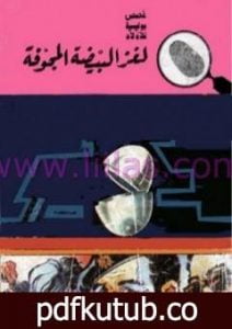 تحميل كتاب لغز البيضة المجوفة – سلسلة المغامرون الخمسة: 71 PDF تأليف محمود سالم مجانا [كامل]