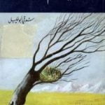 تحميل كتاب غريزة أم تقدير إلهي؟ PDF تأليف شوقي أبو خليل مجانا [كامل]