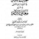 تحميل كتاب نخب الأفكار في تنقيح مباني الأخبار في شرح معاني الآثار – المجلد الثالث عشر PDF تأليف بدر الدين العيني مجانا [كامل]