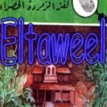 تحميل كتاب لغز الزمردة الخضراء – سلسلة المغامرون الخمسة: 174 PDF تأليف محمود سالم مجانا [كامل]