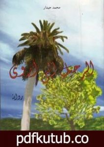 تحميل كتاب الرحيل إلى أروى PDF تأليف محمد حيدار مجانا [كامل]