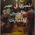 تحميل كتاب التشيع في الشعر المصري في عصر الأيوبيين والمماليك PDF تأليف محمد كامل حسين مجانا [كامل]