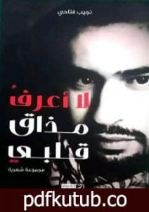 تحميل كتاب لا أعرف مذاق قلبي PDF تأليف نجيب فتّاحي مجانا [كامل]